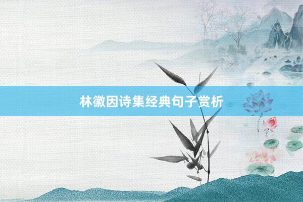 林徽因诗集经典句子赏析