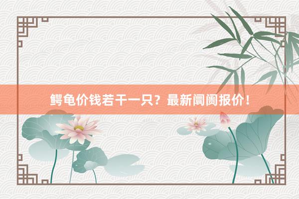 鳄龟价钱若干一只？最新阛阓报价！