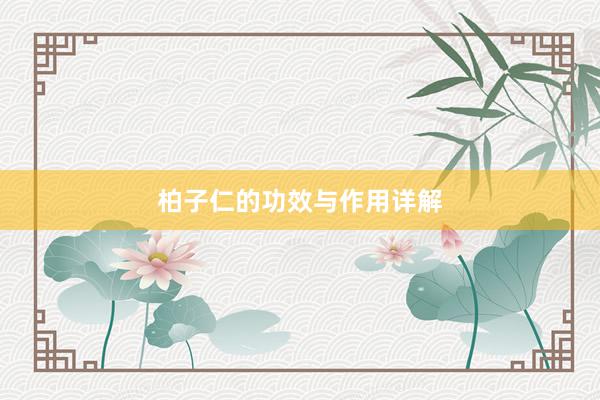 柏子仁的功效与作用详解