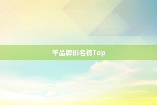 竿品牌排名榜Top