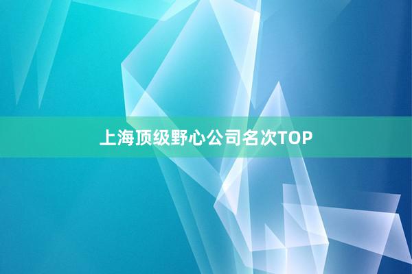 上海顶级野心公司名次TOP